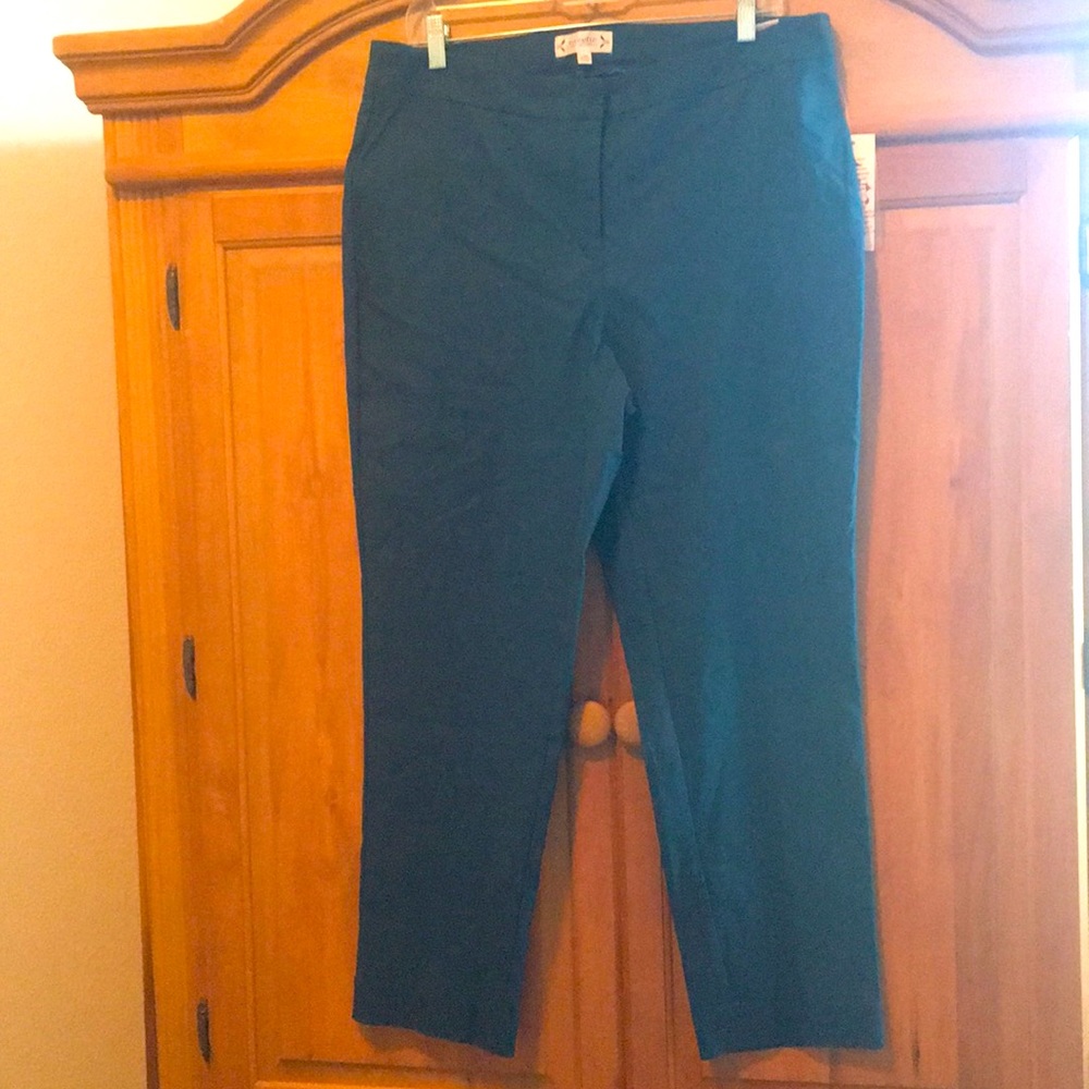 NWT Nanette Lenore Pants.